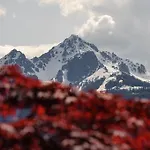 Apartmán Kasperhof 6 - 7 *