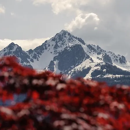 Apartman Kasperhof 6 - 7 *