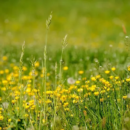 Apartman Kasperhof 6 - 7