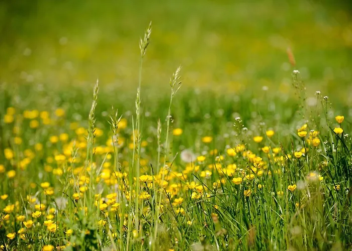 아파트 Kasperhof 6 - 7